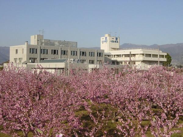 一宮温泉病院（病棟/常勤）の看護師求人の写真