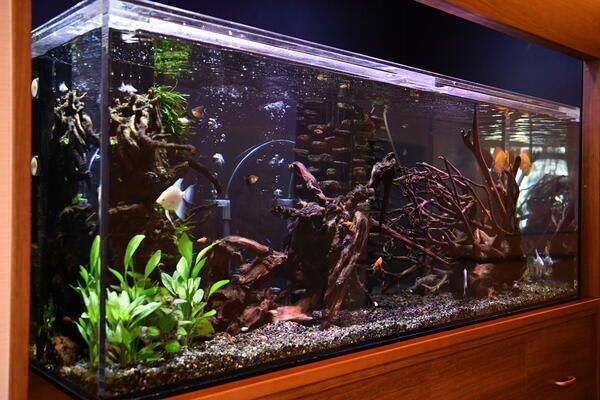 サービス付き高齢者向け住宅　ほっとライフ今宿（常勤）の介護職求人メイン写真4