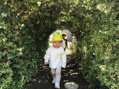 認可保育園コビープリスクールみさとたかの（エリア保育士/パート）の保育士求人の写真