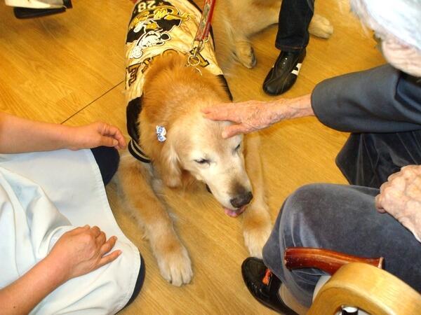 老人保健施設さくらの里(常勤)の介護福祉士求人サブ写真4