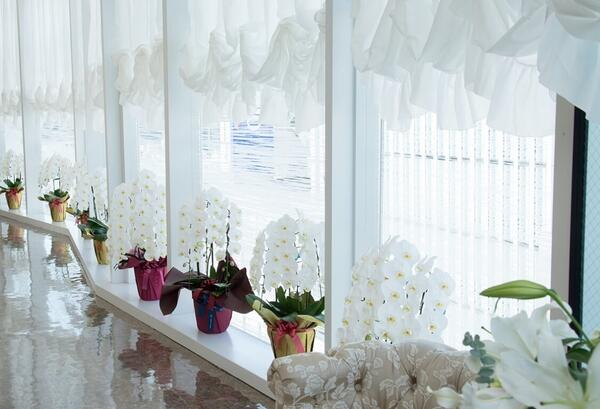 銀座肌クリニック（パート）の看護師求人メイン写真2