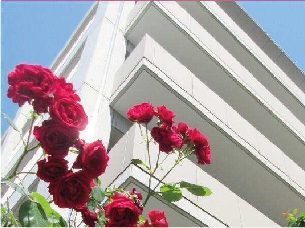 特別養護老人ホーム北野よろこび苑（常勤）の介護福祉士求人の写真