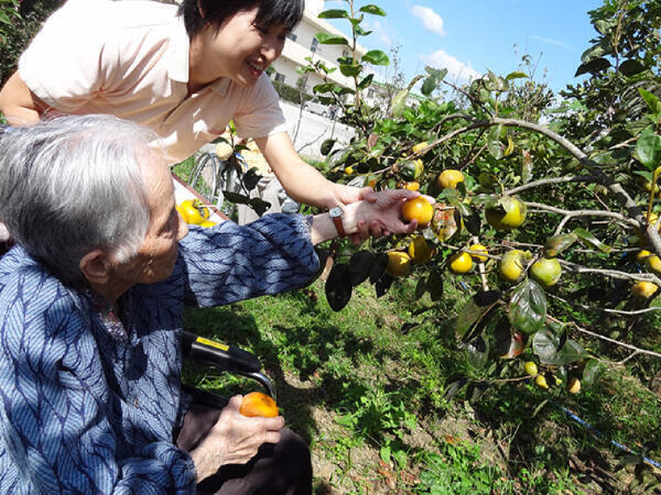 介護老人保健施設 光栄館(常勤)の看護師求人の写真