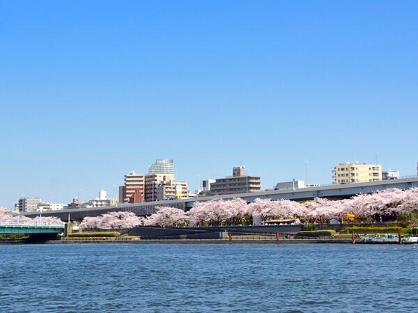 介護老人保健施設 ろうけん隅田秋光園（常勤）の作業療法士求人メイン写真2