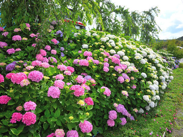 介護老人保健施設 光栄館（常勤）の介護福祉士求人メイン写真4