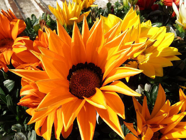 介護老人保健施設 光栄館（常勤）の介護福祉士求人メイン写真3