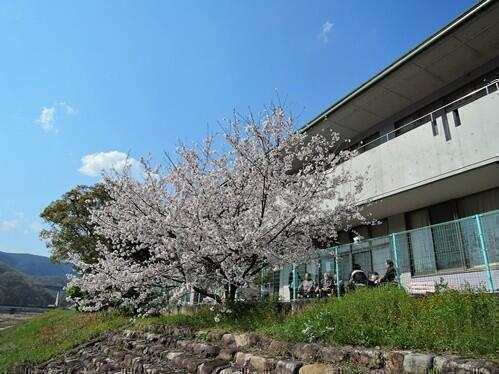 介護老人保健施設 ドリームせせらぎ（常勤）の准看護師求人の写真