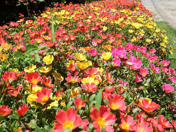 三芳病院（常勤）の看護師求人メイン写真2