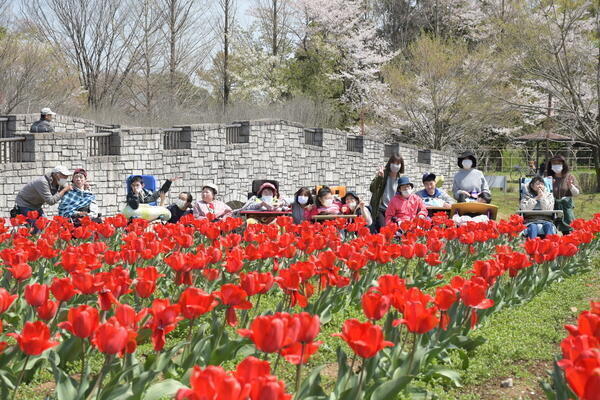 ピュア・スマイル（支援員 / 常勤）の介護職求人メイン写真2