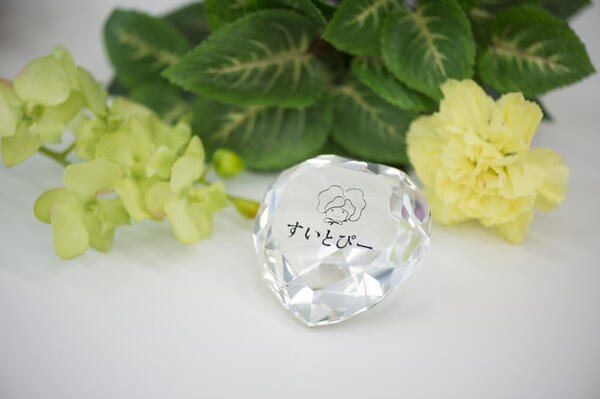 日総ニフティ株式会社（福祉用具専門相談員 / 常勤）のその他求人メイン写真5