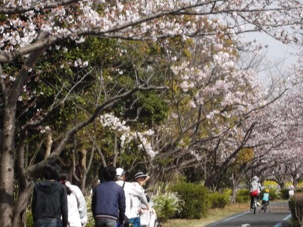 介護老人福祉施設 西戸崎創生園（常勤）の介護福祉士求人メイン写真2