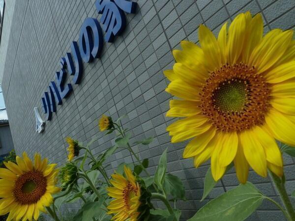 リハビリの家川口元郷（常勤）の介護職求人の写真