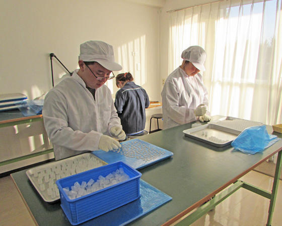 社会福祉法人 村山苑　福祉事業センター（日勤常勤）の支援員求人メイン写真2