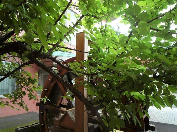 介護老人福祉施設 みかんの里（常勤）の准看護師求人メイン写真5