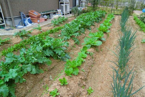 グループホームひだまり鍜治塚(常勤)の介護職求人サブ写真1