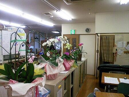 けあらーずおおぞね（パート）の介護職求人メイン写真2