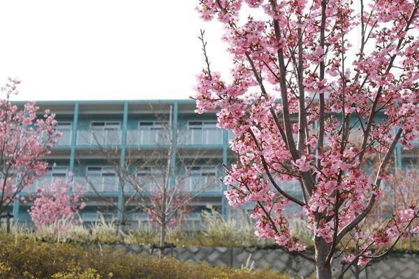 介護老人福祉施設ヴィラ町田（常勤）の管理栄養士求人メイン写真2