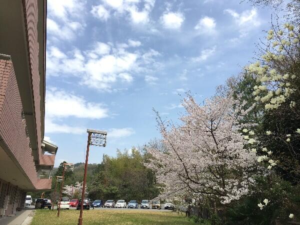 特別養護老人ホーム やすらぎの里道場（常勤）の介護福祉士求人メイン写真2