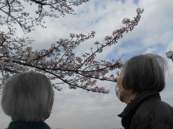 リハビリの家川口元郷（常勤）の介護福祉士求人メイン写真2