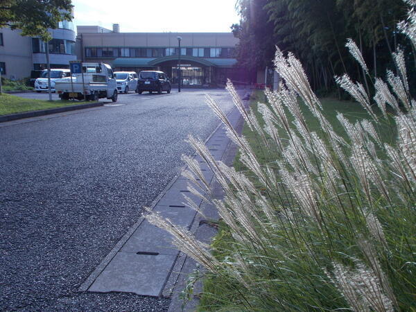 介護付有料老人ホーム やわら樹の里（常勤）の介護職求人の写真