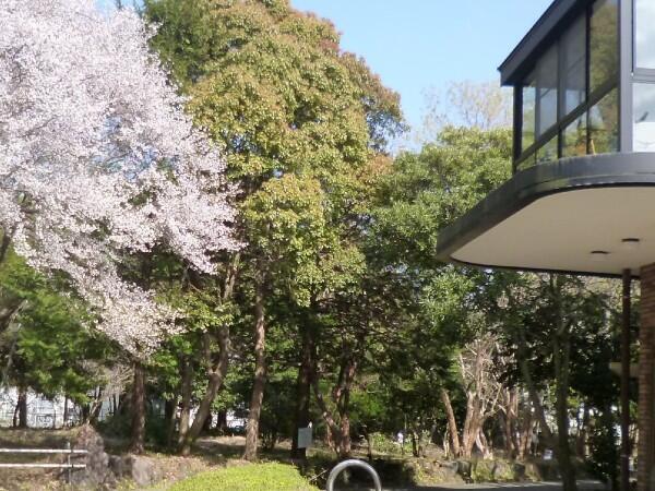 介護付有料老人ホーム ウェルケア伊豆高原（パート）の介護職求人メイン写真2