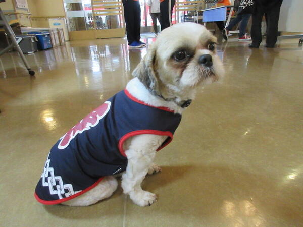 特別養護老人ホーム太陽の家二番館（常勤）の介護福祉士求人の写真