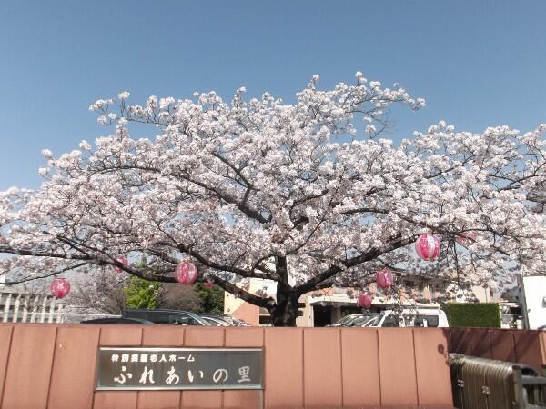 特別養護老人ホーム ふれあいの里（常勤）の介護職求人の写真