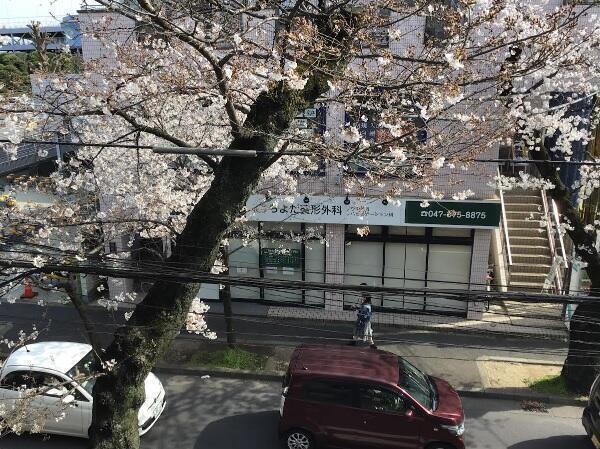 ちよだ整形外科リウマチ科リハビリテーション科（常勤）の理学療法士求人メイン写真5