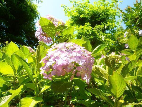 特別養護老人ホーム 菅の里（パート）の介護職求人メイン写真4