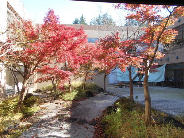 介護老人保健施設 ヴィラフォーレスタ森の家（常勤）の介護職求人メイン写真3