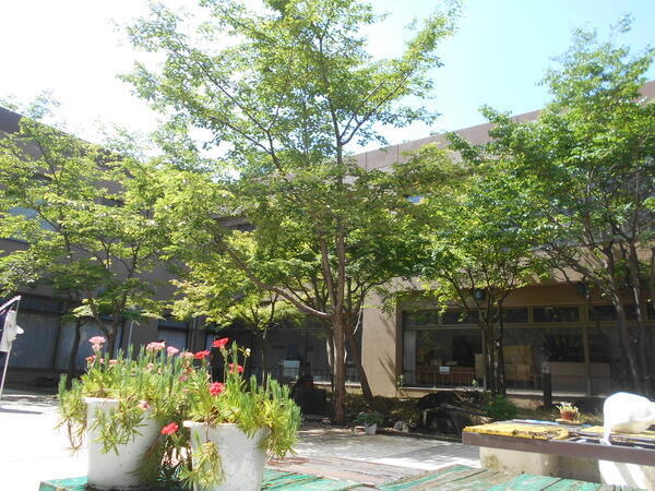 介護老人保健施設 ヴィラフォーレスタ森の家（常勤）の介護職求人メイン写真2