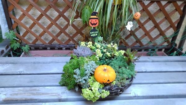 社会医療法人健生会 吉田病院（パート）の看護師求人メイン写真3