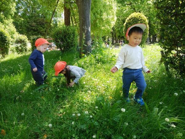 キングダムキッズ 磯路（正社員）の保育士求人の写真