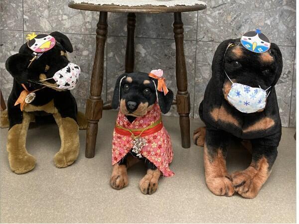 介護老人保健施設 相模大野（常勤）の介護福祉士求人メイン写真3