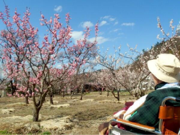 特別養護老人ホーム杏寿荘（常勤）の介護福祉士求人の写真