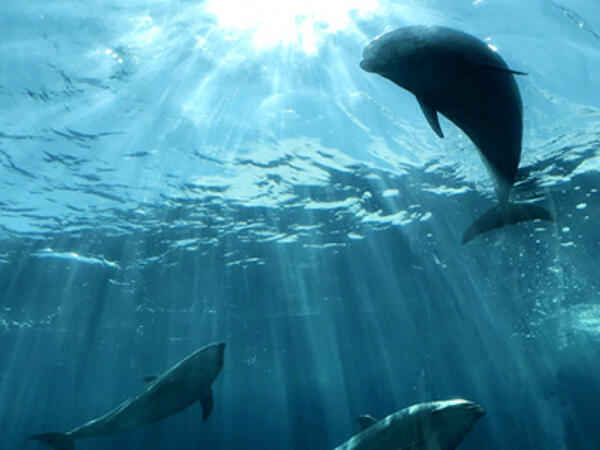 日進会病院（常勤）の看護助手求人サブ写真3