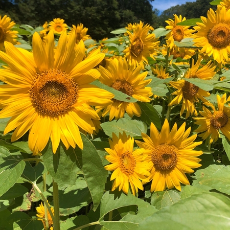 社会福祉法人福慶会　福田の里（パート）の支援員求人メイン写真2