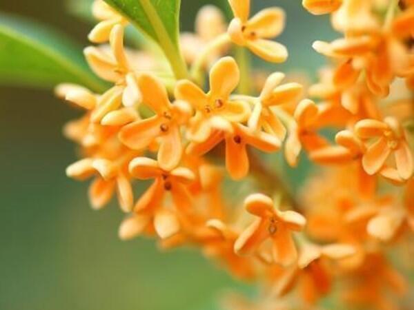 特別養護老人ホーム 千の杜（常勤）のケアマネジャー求人サブ写真1