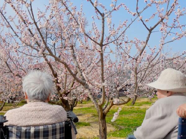 特別養護老人ホーム杏寿荘（常勤）の介護福祉士求人メイン写真5