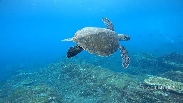 特別養護老人ホーム あじさいの里（常勤）の介護福祉士求人サブ写真1
