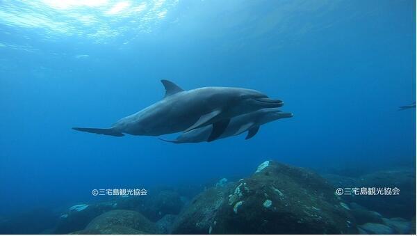 特別養護老人ホーム あじさいの里（常勤）の介護福祉士求人メイン写真3