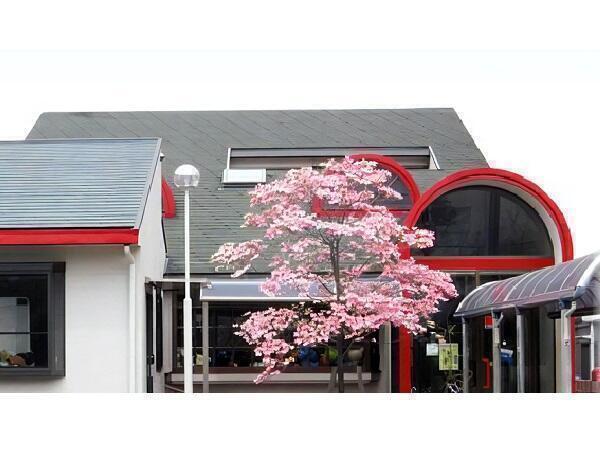 すこやか小児科（常勤）の看護師求人の写真