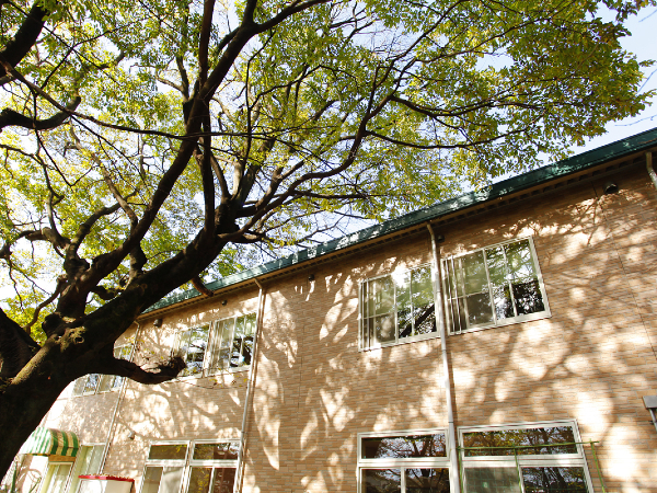 武蔵野中央病院（常勤）の介護職求人メイン写真3