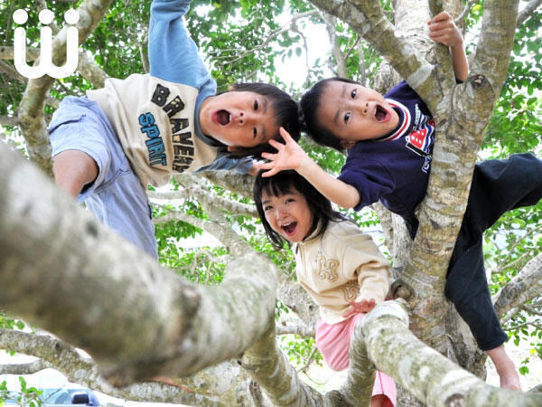 杉並地域福祉事業所 浜田山学童校外育成室（児童指導員/常勤）の社会福祉士求人の写真