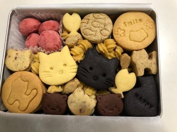 社会福祉法人福慶会　福田の里（常勤）のケアマネジャー求人の写真