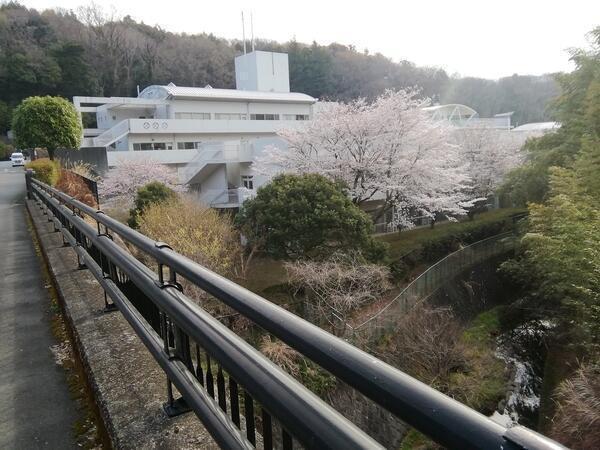 厚木精華園（非常勤）の支援員求人メイン写真3