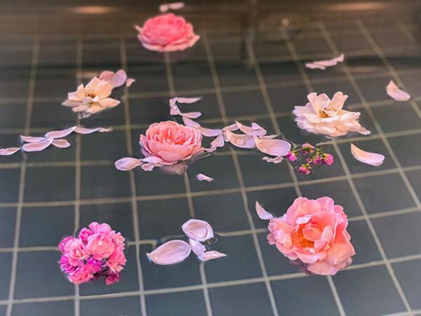 ヒューマンライフケア 南与野の湯（デイサービス）（パート）の介護福祉士求人メイン写真2