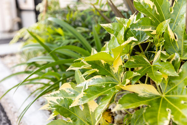 つづき脳神経外科・内科（パート）の看護師求人サブ写真2