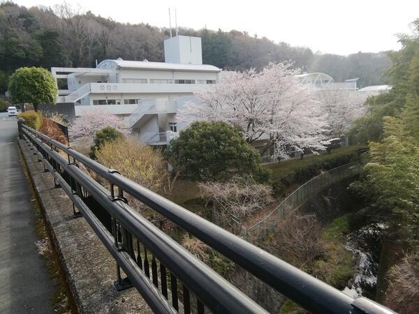 社会福祉法人かながわ共同会 厚木精華園 非常勤 の一般事務求人 採用情報 神奈川県厚木市 コメディカルドットコム