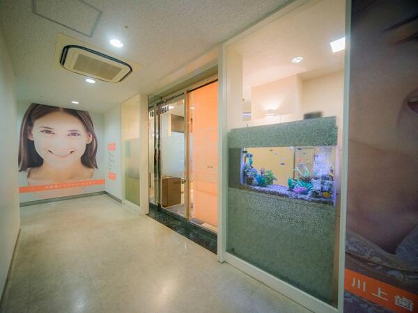 川上歯科パンジョ診療所（パート）の歯科衛生士求人メイン写真5